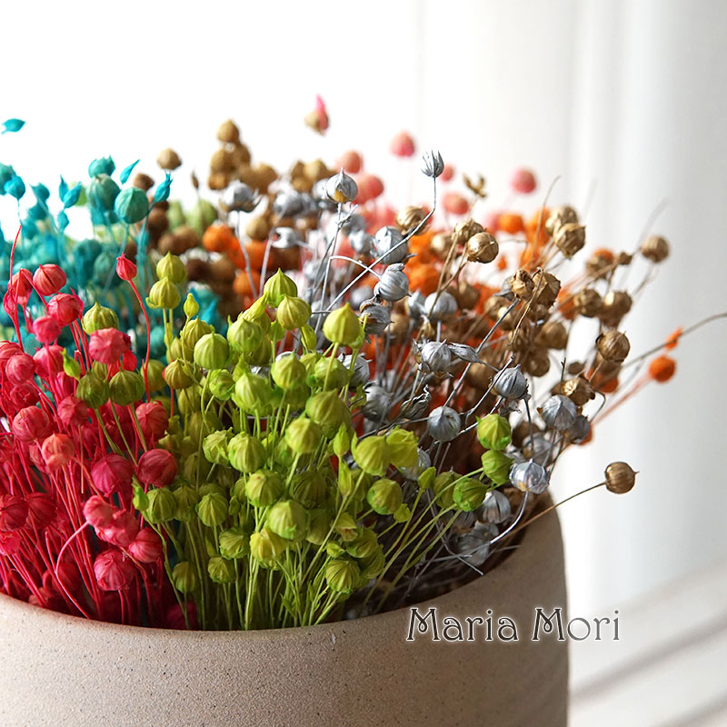 Dried Flower Bulk - 5g/Preserved Flax Bean Natural Real Flowers